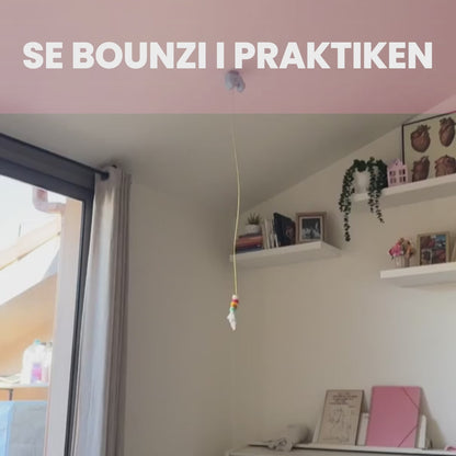 Bounzi - Aldrig mer en uttråkad katt
